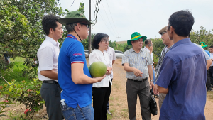 Khảo sát thực địa vùng trồng bưởi tại xã Trị An: Định hình hướng phát triển bền vững