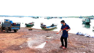 Tăng cường xử lý môi trường tại khu vực tập kết cá chết ở khu phố Vĩnh An 1