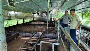 Ban Kinh tế - Ngân sách HĐND phường Trị An khảo sát thực tế phục vụ giám sát việc thực hiện pháp luật về bảo vệ môi trường